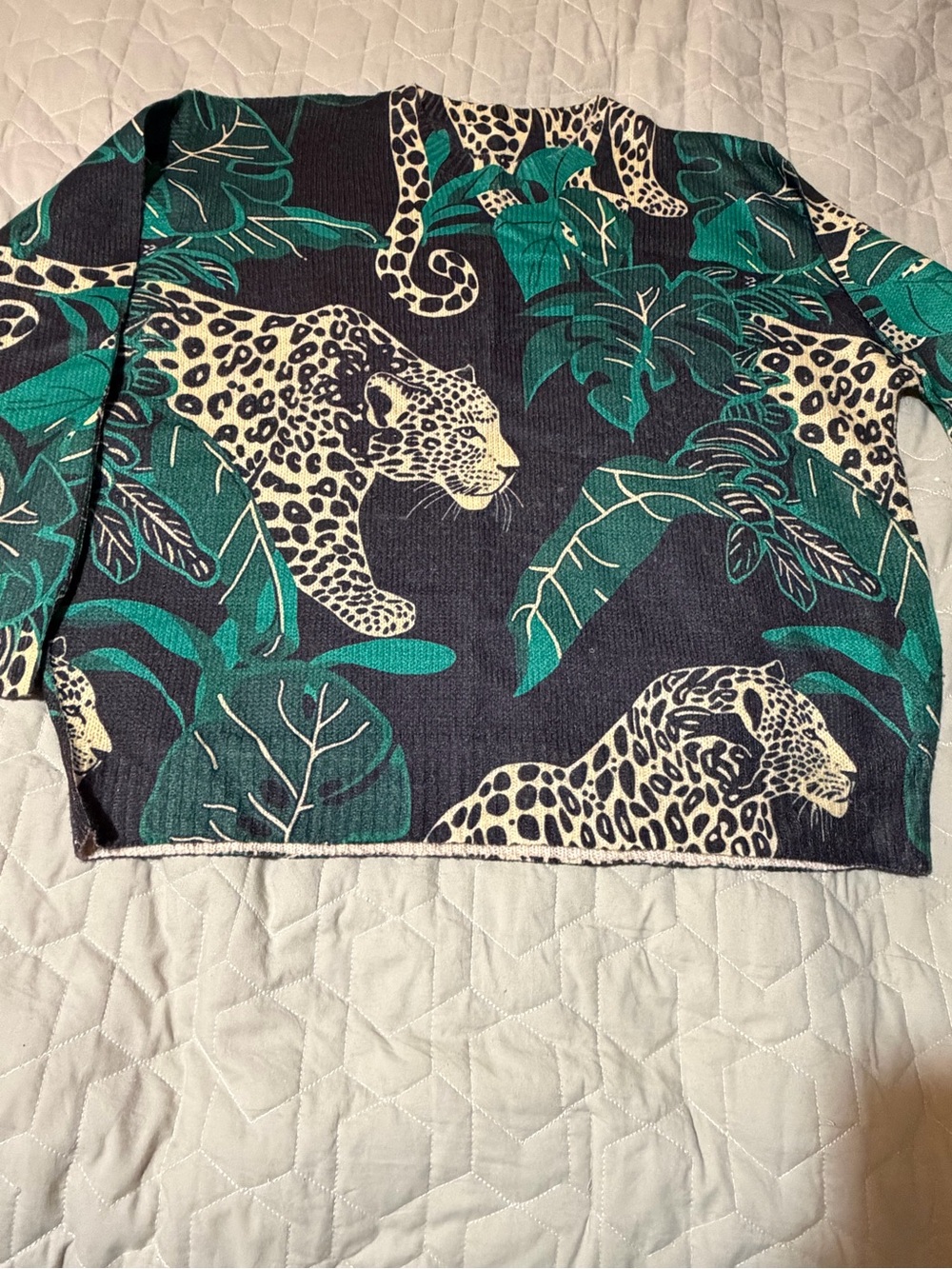 Cheetah sweater 2X